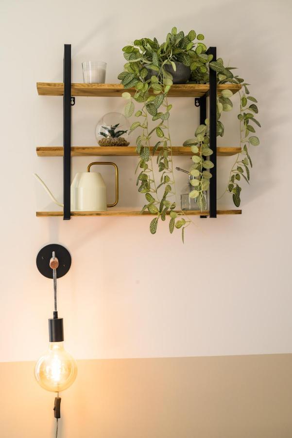 קמפר Appartement T2 - Vue Imprenable Sur La Cathedrale מראה חיצוני תמונה